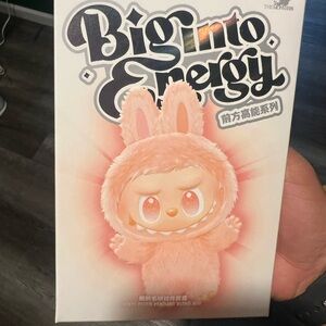 Biginto Energy Bunny Box